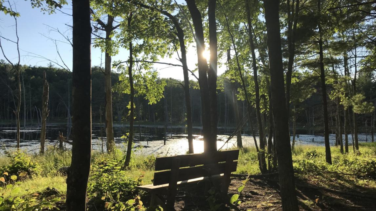 Bench overlooking a wooded pond at Horse Hill Nature Preserve in Merrimack, one of the best towns to live in New Hampshire featured in this guide.
